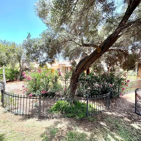 Apto. Con Gran Terraza Con Vista Al Mar Y Piscina *